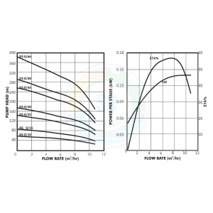 DS8 Graph