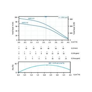 ssdp2
