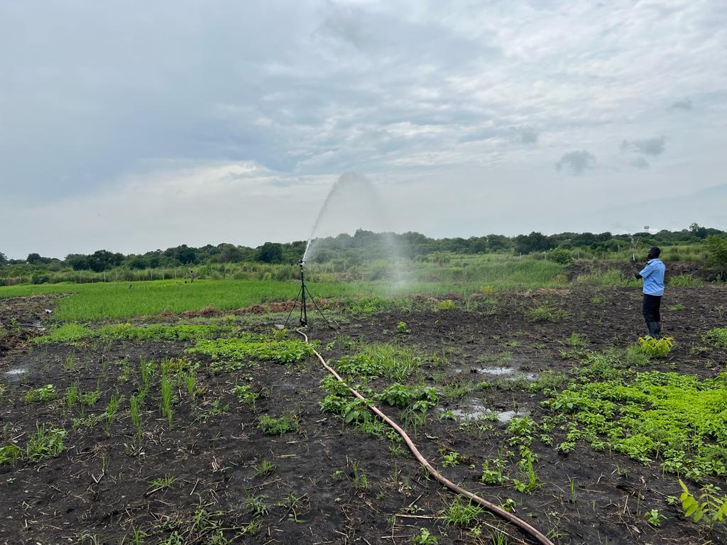 Kampala irrigation project